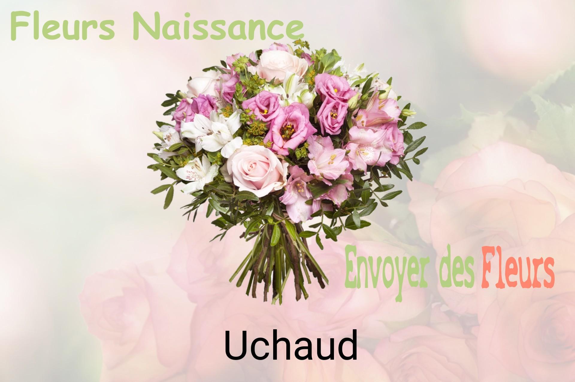 Bouquet de fleurs de naissance livré à Uchaud